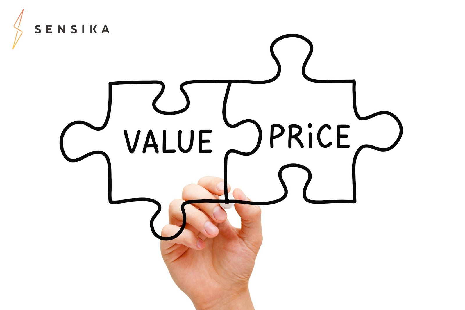 value, price, use case, pricing, strategy, analysis, sensika software, Product intelligence Pricing