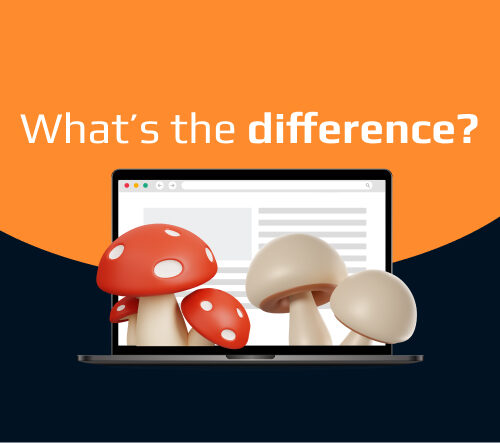 What Do We Call “Mushroom” Websites?