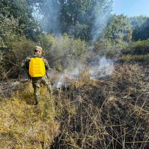 Bulgaria Wildfires Narratives 2025