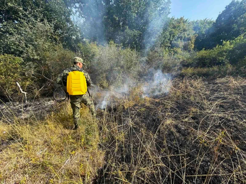 Bulgaria Wildfires 2025